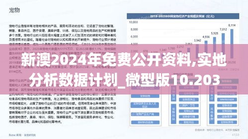 新澳24年正版资料,综合计划评估说明_Nexus65.702