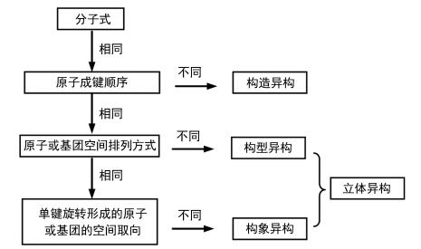 奥门特马特资料,现象分析解释定义_kit78.307