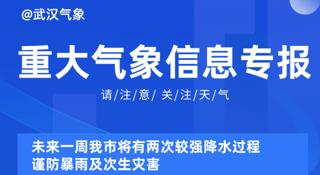 新澳天天开奖资料大全免费,创新落实方案剖析_V48.37